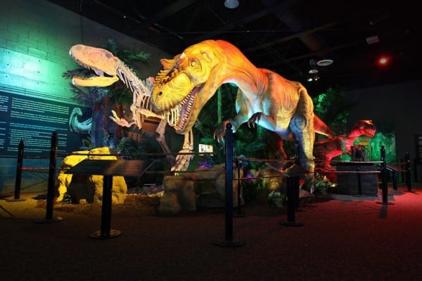 Telus World of Science Dinosaur Unearthed Sleepover Edmonton