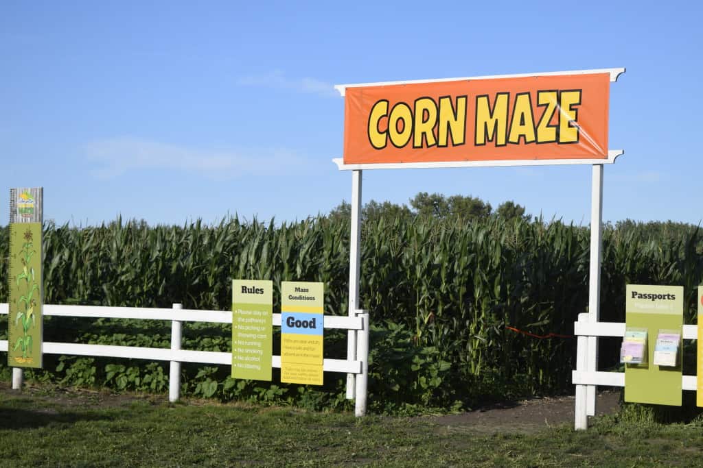 5 Tips for Visiting the Edmonton Corn Maze #yeg