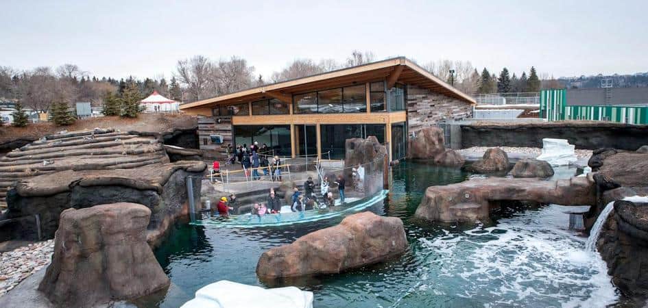 Edmonton Valley Zoo Opens for the Season June 15