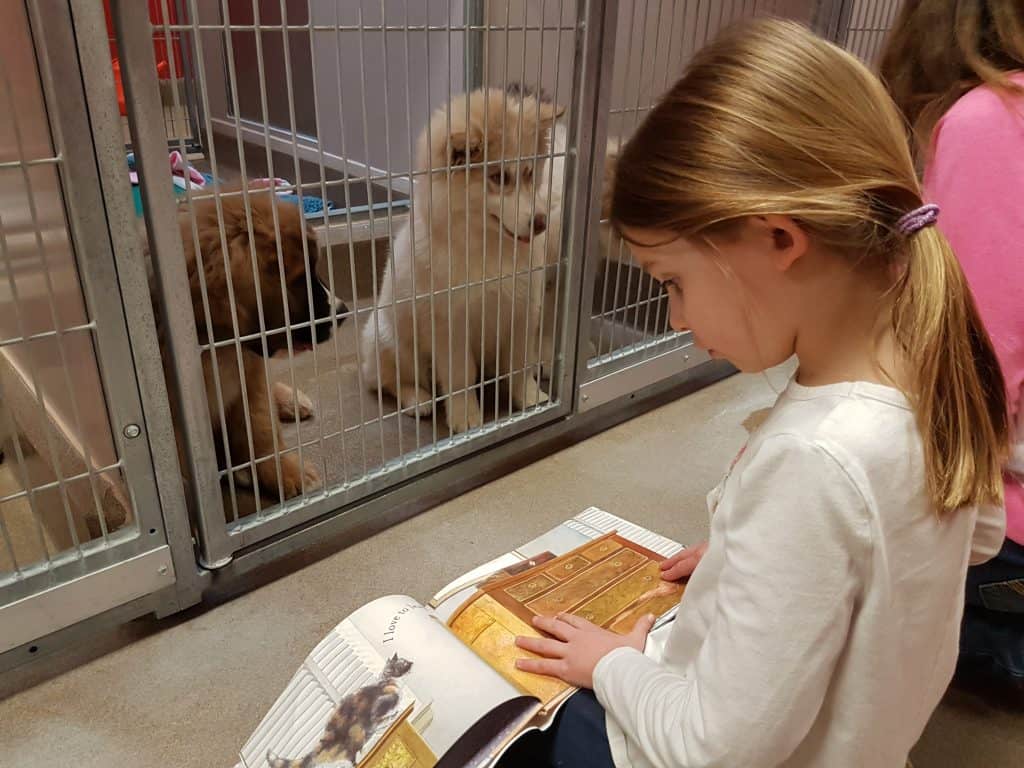 Register for Summer Camp with the Edmonton Humane Society