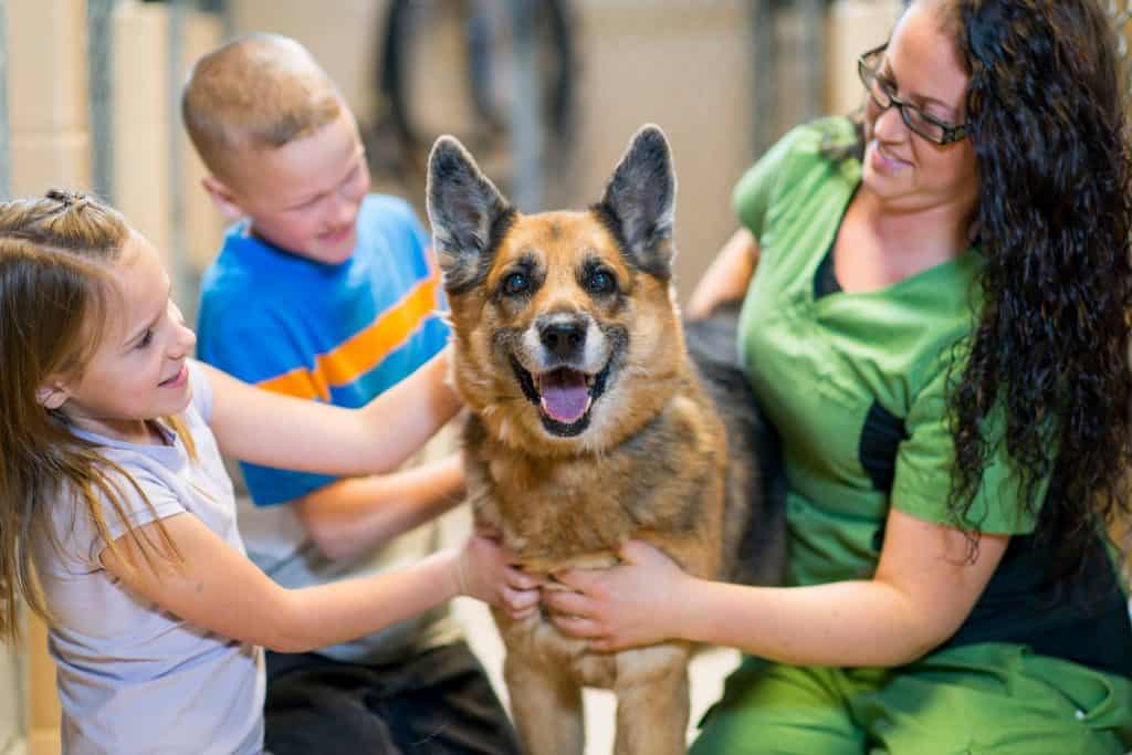Do Your Kids Love Animals? Register for Summer Camp at Edmonton Humane Society