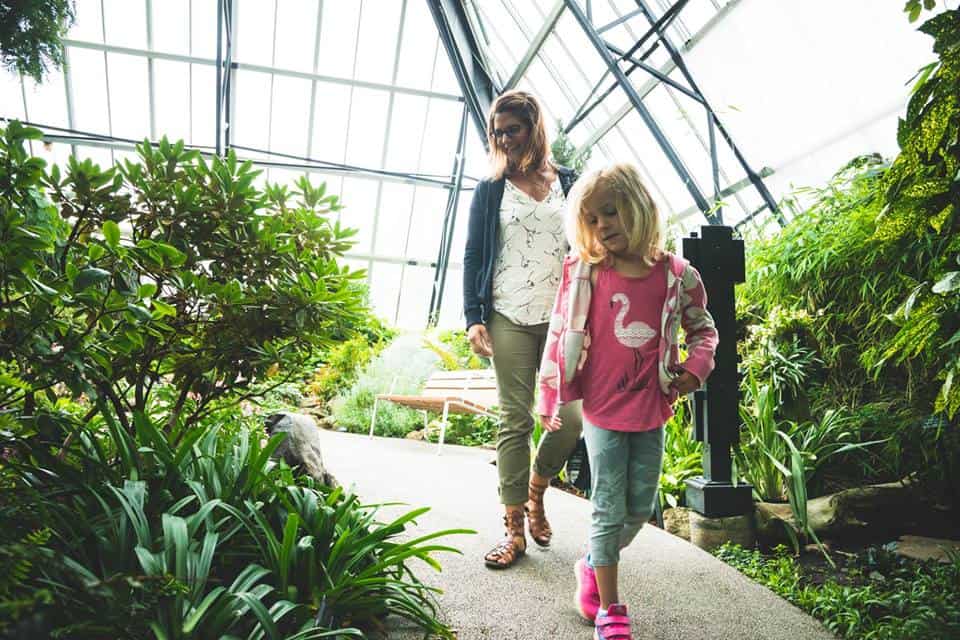 What to do in Edmonton this Weekend with Kids | May 10-12