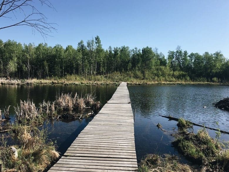 5 Cool Summer Programs to do with the kids at Elk Island National Park this Summer