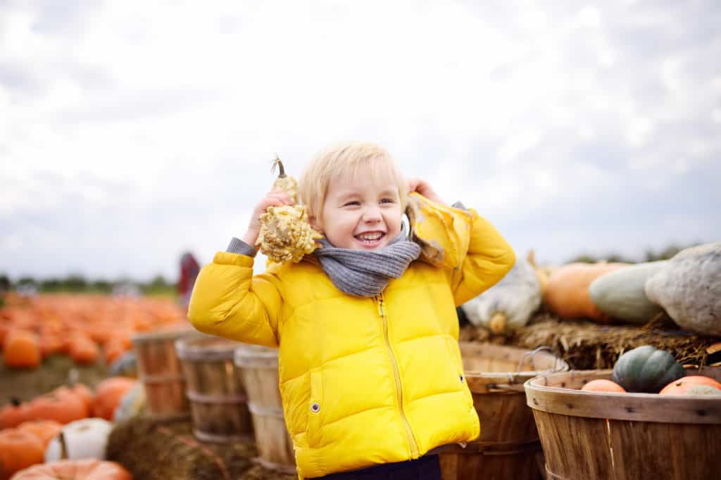 Get out of Town and Visit the Smoky Lake Pumpkin Festival on 10.05
