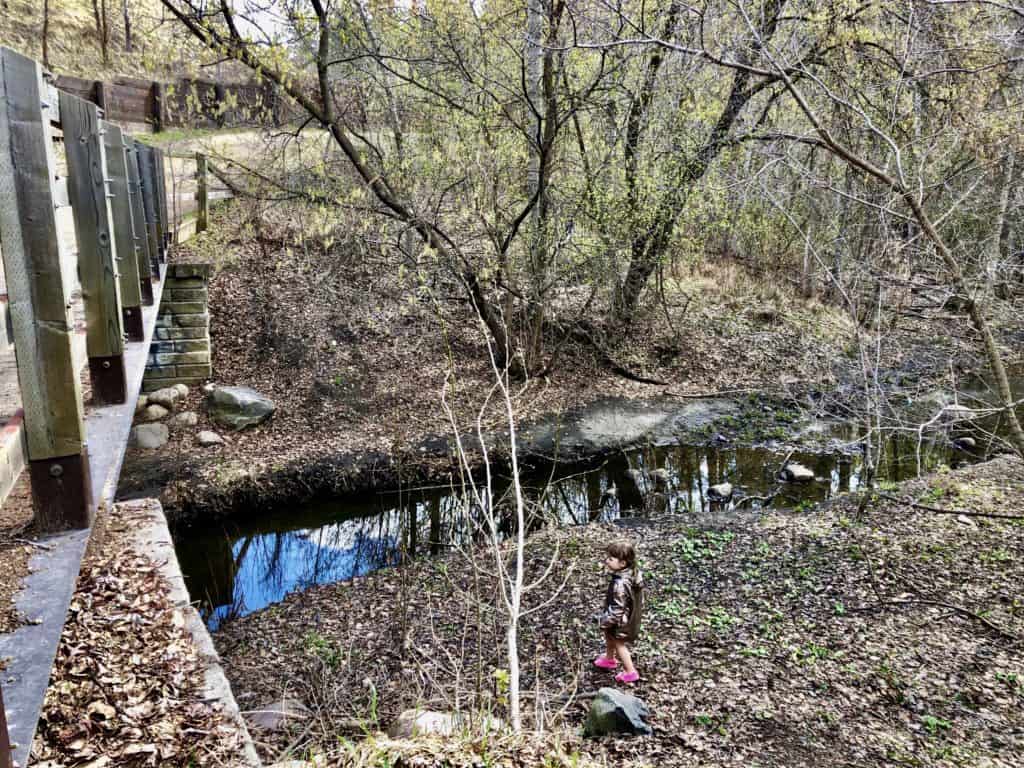 Exploring the Bridges of Kennedale Ravine Trail with Kids