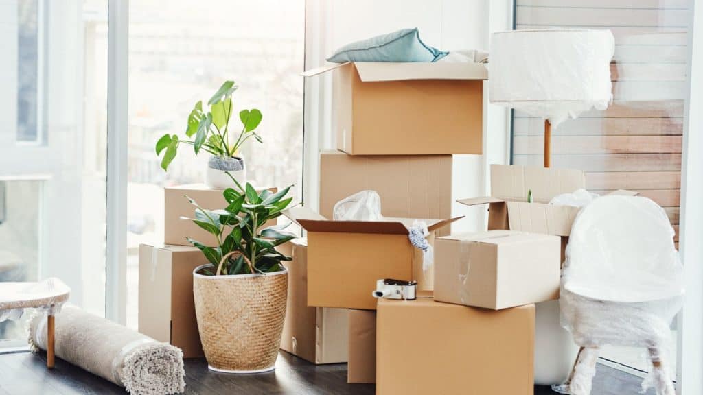 10 Tips for Getting Organized During a Move